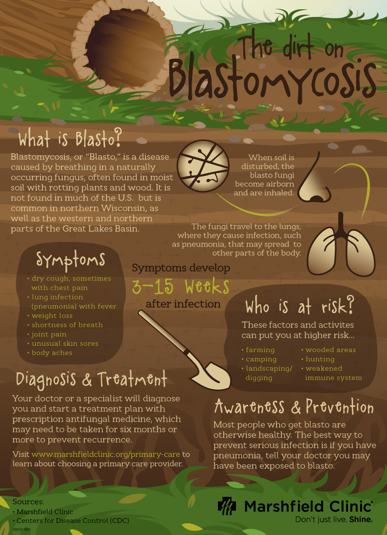 Blastomycosis infographic