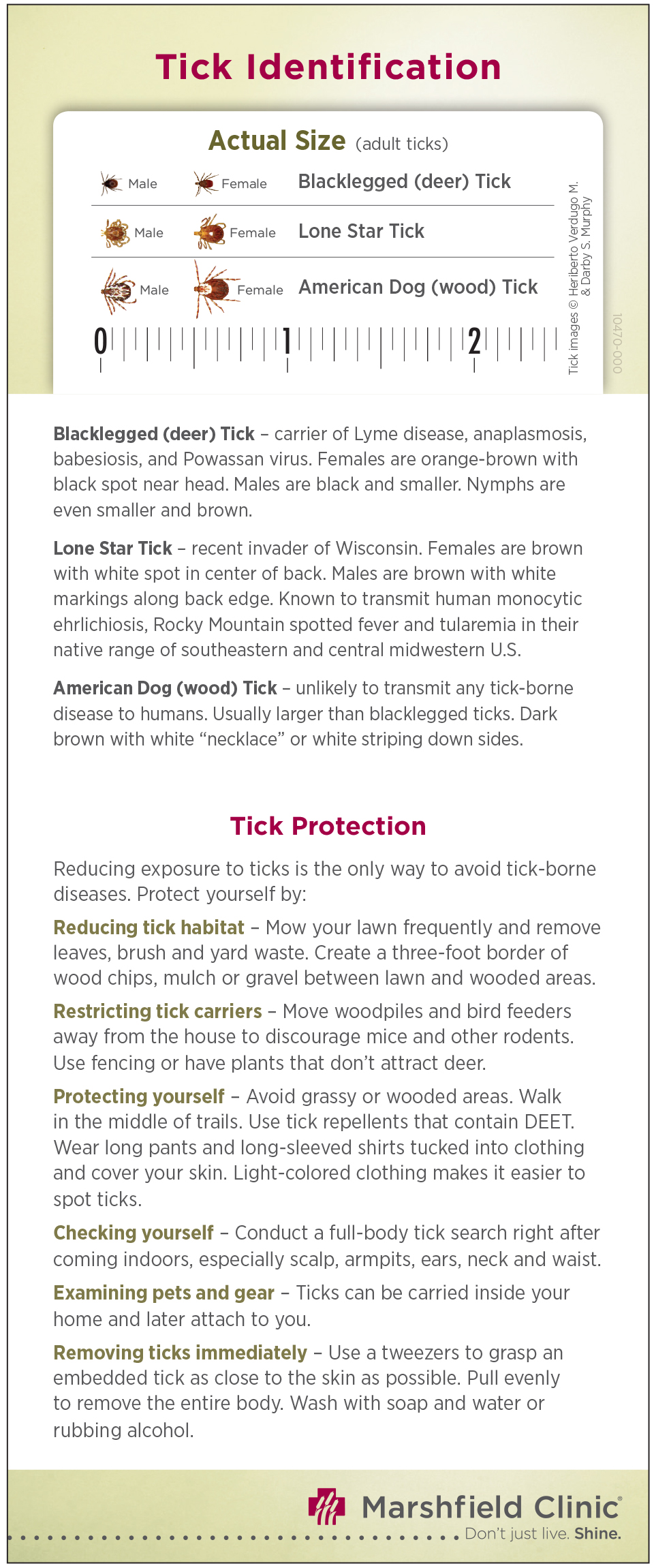 tick identification card