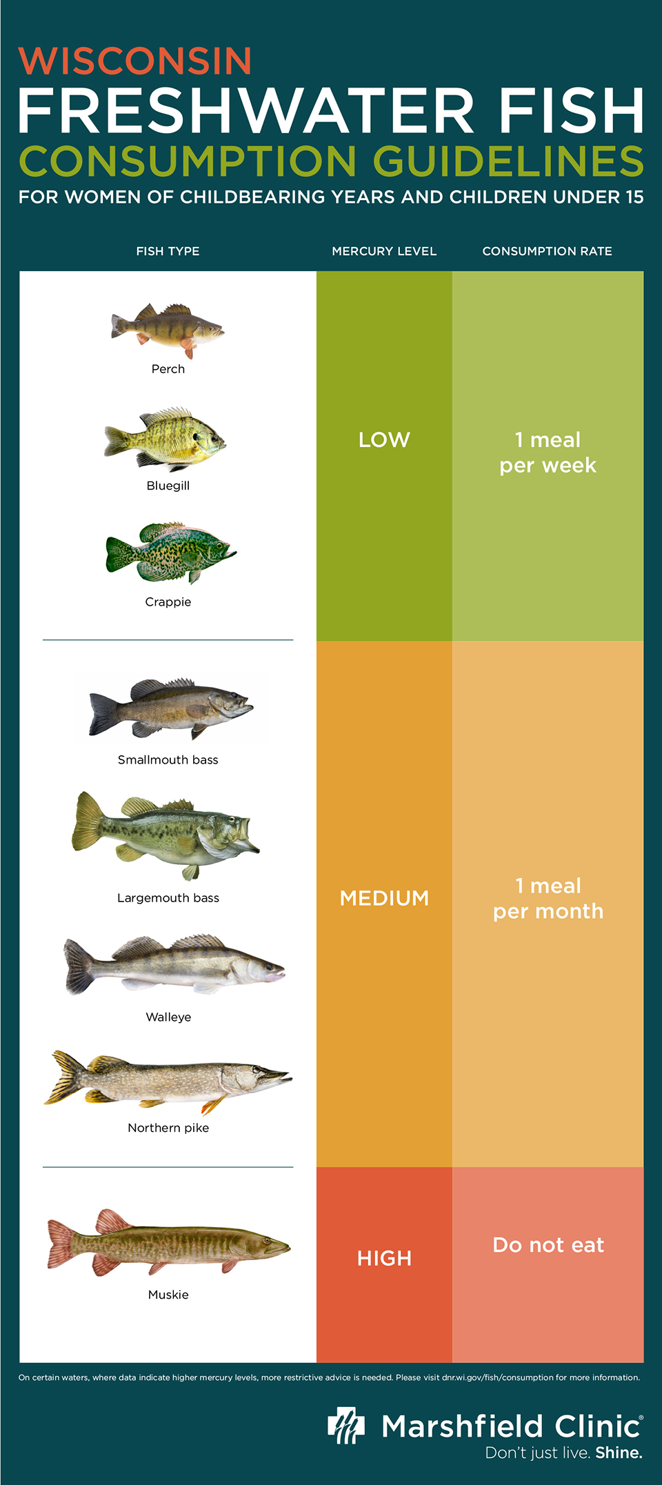 mercury in fish graphic